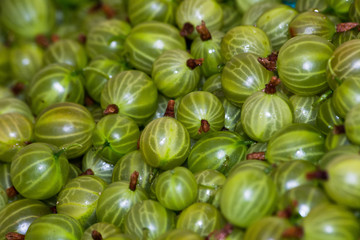Gooseberries