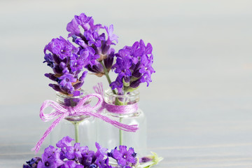 Lavendelgruß aus Frankreich