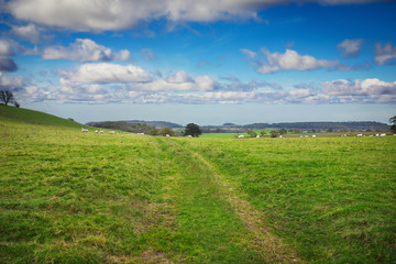 Perfect English sunny spring landscape