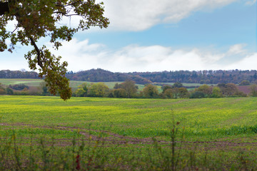 Perfect English sunny autumn landscape