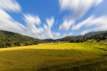Green Terraced Rice Field in Mae Klang Luang , Mae Chaem, Chiang Mai, Thailand