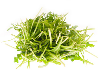arugula