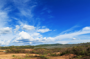 Panoramic,Landscape with white clouds with blue sky  in countryside