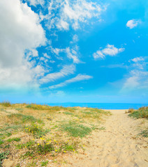 yellow sand in Platamona shore