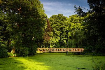 Bridge on the park