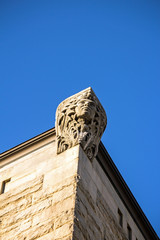 Building Corner Head - Majestic Looking Head Perched High On the Corner of a Brown Stone Building