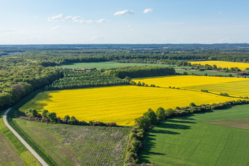 Fototapeta premium aerial view of yellow harvest fields