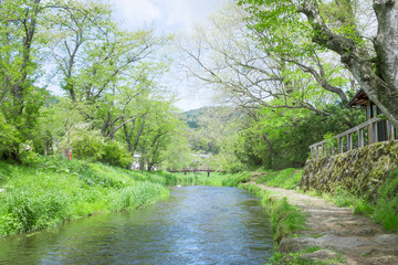Oshino Hakkai / Riverside scenery