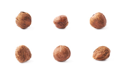 Single hazelnut isolated