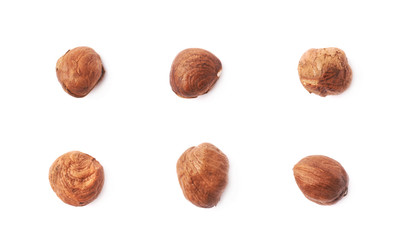 Single hazelnut isolated