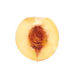 Cut open nectarine half isolated