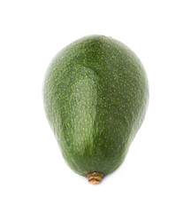 Single ripe avocado fruit isolated