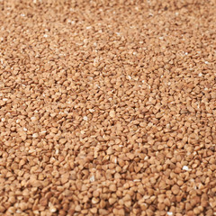 Surface covered with the buckwheat grains