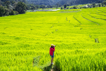 Asian women take a photo green terraced rice field in Mae Klang Luang , Mae Chaem, Chiang Mai, Thailand