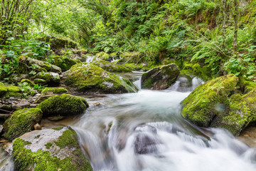 Obraz premium Torrentes de agua en el puerto de Leitariegos, Asturias, Spain