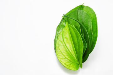 Obraz premium betel plam