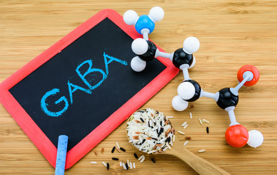 gamma-Aminobutyric acid (GABA) in germinated rice