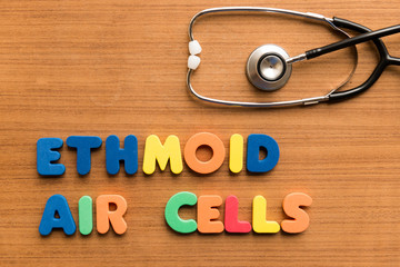 ethmoid air cells