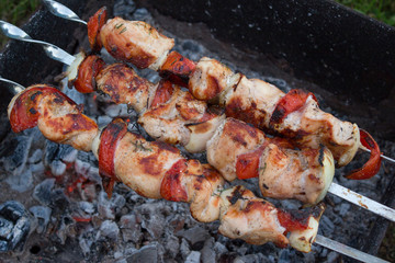Grilling shashlik on barbecue grill.
