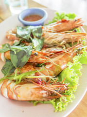 Prawns on a plate