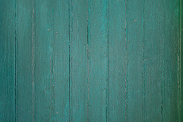 Wood plank green texture background.