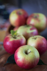 harvest of apples