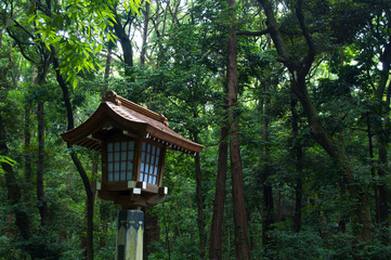 Japanese  lanterns in the forest.