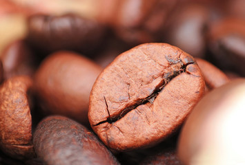 Closeup of coffee seed and focus on fracture of it