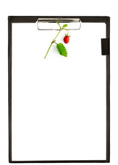 Tlipboard with berries