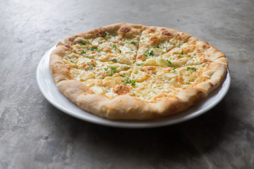 White Pizza , garlic and Mozzarella Cheese