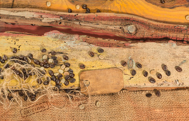 Chicchi di caffè crudo e torrefatto sparsi su un piano di legno grezzo colorato.Tela sacco di juta.