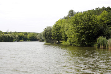 Landscape with forest and summer lake