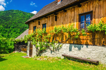Wooden hut in traditional village, Eastern Europe 