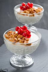 creamy panna cotta with homemade granola and fresh red currants