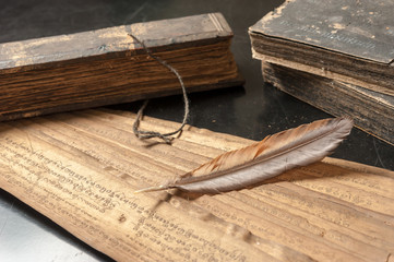 Ancient Treatise with bird feather