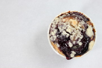  Blueberry Muffin on  plate as close up.