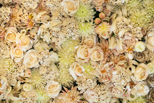 Fototapeta bright picture of background full of white, green and yellow ros