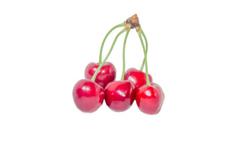 Cherry on a white background
