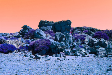 Desert view near Teide volcano (Tenerife, Canary Islands)
