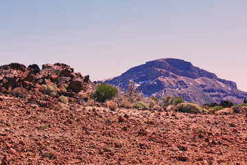 Desert view near Teide volcano (Tenerife, Canary Islands)
