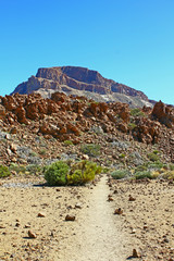 Desert near Teide volcano (Tenerife, Canarian Islands, Spain)

