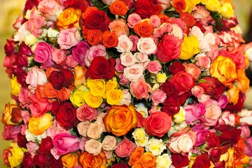 Abwaschbare Fototapete Rosen schöner Strauß bunter Rosen