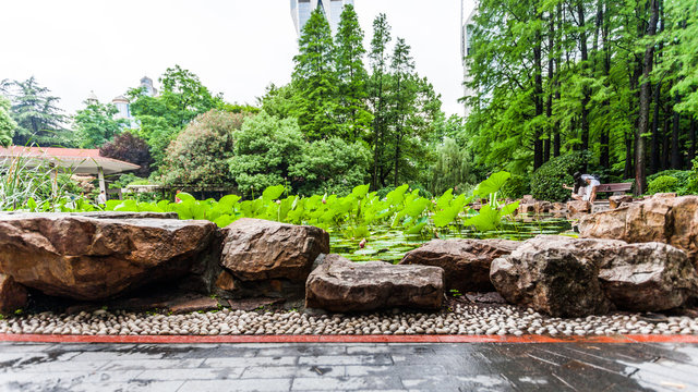 Park in shanghai