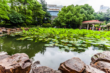 Fototapeta na wymiar Park in shanghai