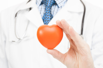 Doctor holding toy heart - health care concept