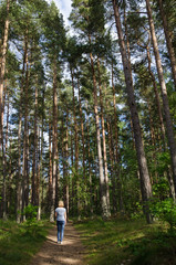 Recreational walk in a forest