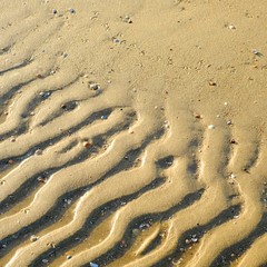 Wattstrukturen