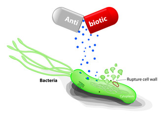 antibiotic