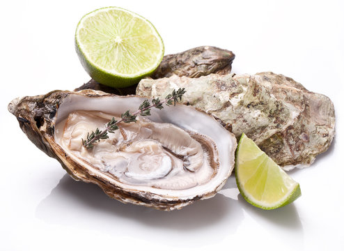 Raw oyster and lemon on a whte background.