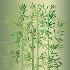 The top of the bamboo.